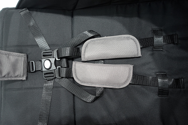 5-Point harness with shoulder pads
